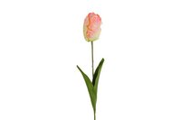 Countryfield zijden Tulp Tulipa Barbera 68 cm roze/wit
