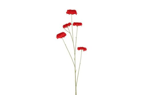 Countryfield zijden Zinnia bloem 105 cm rood