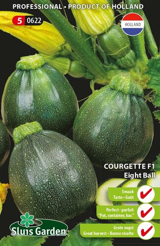 Courgette zaden Eight Ball F1