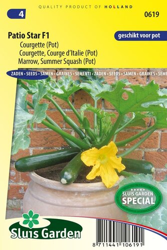 Courgette Patio Star F1 zaden