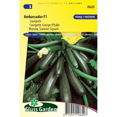 Courgette zaden ambassador f1