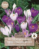 Prins Crocus Mix 40 bollen