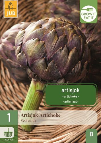 Cynara scolymus artisjok