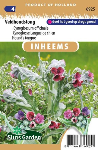 Inheemse Cynoglossum officinale Veldhondstong zaden