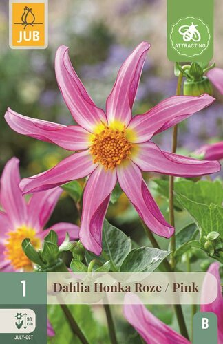 Dahlia Honka roze - afbeelding 1