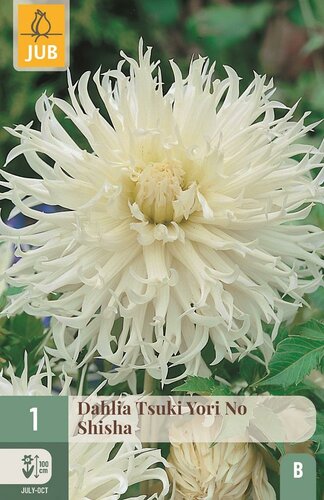 Dahlia Tsuki yori no shisha - afbeelding 1