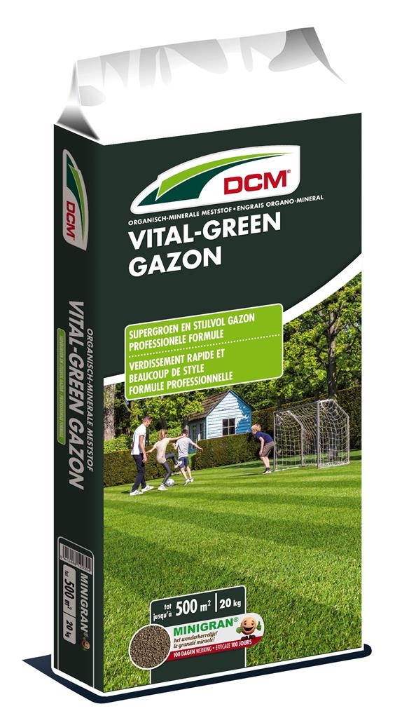 Vilmorin 4470853 Gazon Ombre Boîte de 1 kg Vilmorin 4470853 Gazon Ombre Boîte de 1 kg