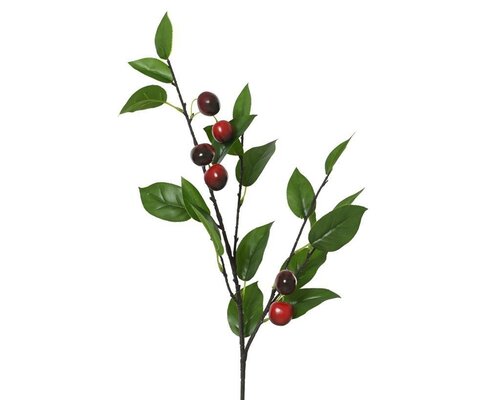 Decoris Cherrytak 78 cm groen/rood