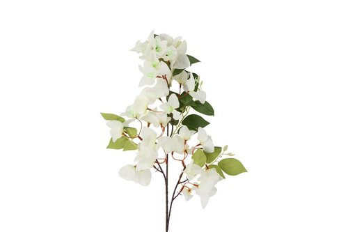 Decostar Bougianvillea kreta 77 cm wit