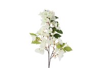 Decostar Bougianvillea kreta 77 cm wit