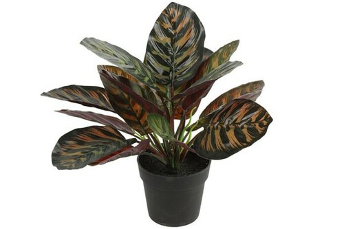Decostar Calathea kunstplant 28 cm groen