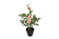 Decostar Camellia kunstplant 50 cm roze