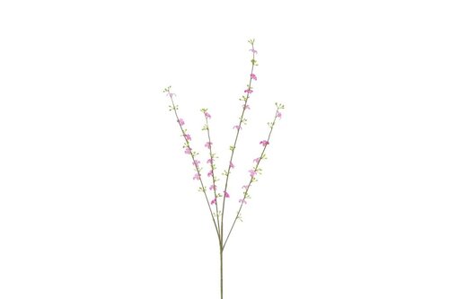 Decostar Cytisus 108 cm oud roze