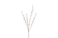 Decostar Cytisus 108 cm oud roze