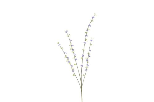 Decostar Cytisus 108 cm paars