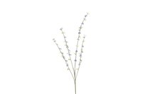 Decostar Cytisus 108 cm paars