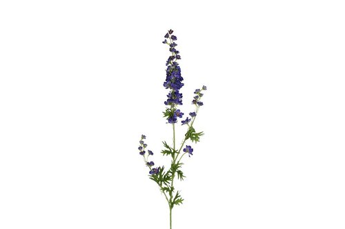 Decostar Delphinium giant 90 cm blauw