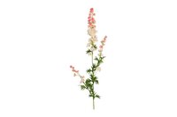 Decostar Delphinium giant 90 cm roze