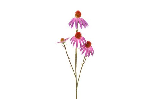 Decostar Echinacea 77 cm paars