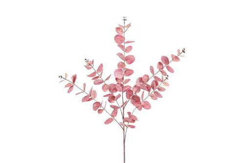Decostar Eucalipthus Cinerea 106 cm roze