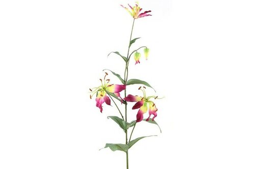 Decostar Gloriosa 82,5 cm aubergine