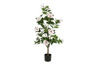 Decostar Hibiscus S plant 120 cm wit