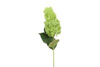 Decostar Hydrangea Macrophylla 83 cm groen
