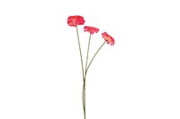 Decostar kunstbloem Zinnia 60 cm roze