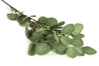 Decostar kunsttak Eucalyptusblad 90 cm groen - afbeelding 2