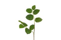 Decostar kunsttak Gaultheria 78 cm groen