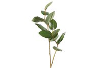 Decostar kunsttak Myrtaceae Jocosa 70 cm groen