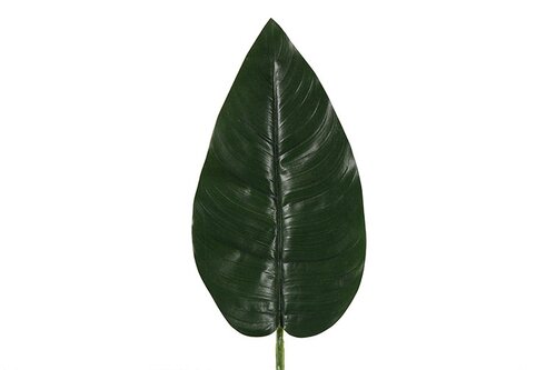 Decostar kunsttak spathiphyllum Vaja 75 cm groen