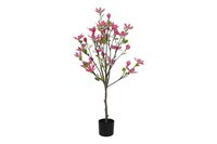 Decostar Magnolia Loebneri plant 120 cm roze