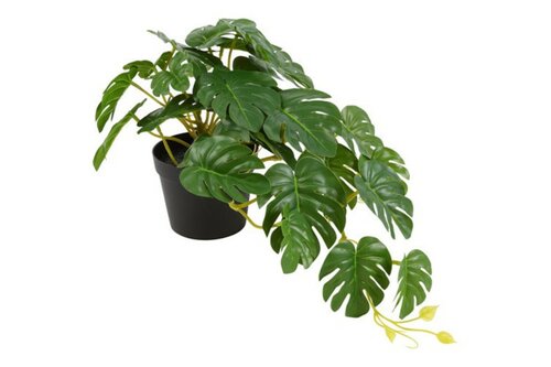 Decostar Monstera hangplant 28 cm groen