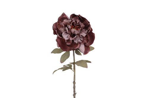 Decostar peony sibel 57 cm paars