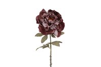 Decostar peony sibel 57 cm paars