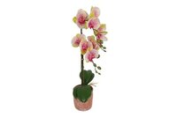 Decostar Phalaenopsis kunstplant 45 cm veelkleurig