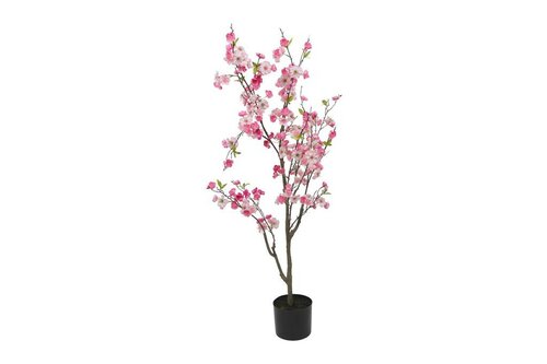 Decostar Prunus S plant 153 cm roze
