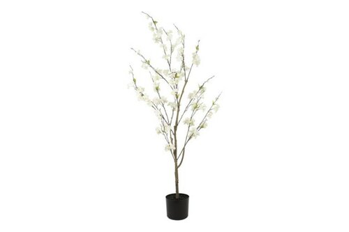 Decostar Prunus S plant 153 cm wit