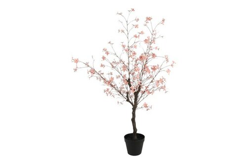 Decostar Pyrus S plant 110 cm roze