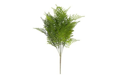 Decostar steker/hang Asparagus S 55 cm groen