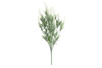 Decostar steker/hang Lavendula 48 cm crème