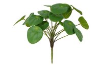 Decostar steker/hang Pilea 25 cm groen