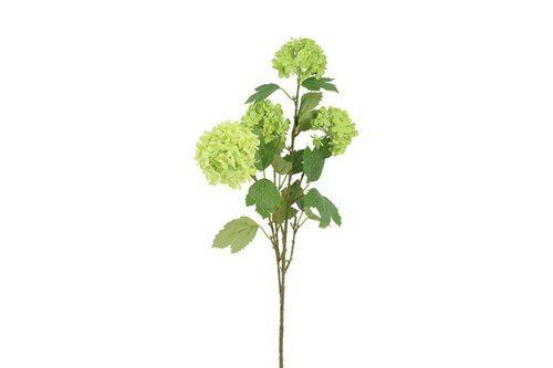 Decostar Viburnum Opulus 83 cm groen