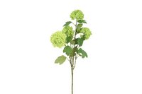 Decostar Viburnum Opulus 83 cm groen