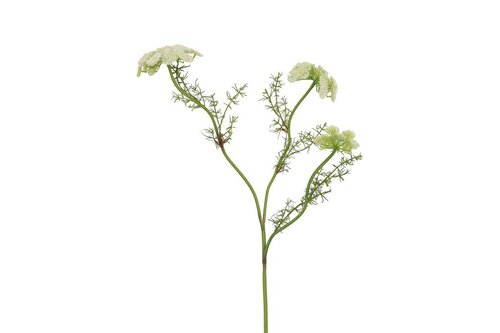 Decostar zijdebloem Ammi 73 cm wit