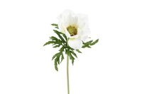 Decostar zijdebloem Anemone L 52 cm wit