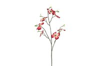Decostar zijdebloem Cornus 65 cm roze