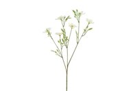 Decostar zijdebloem Cosmos iriserend 76 cm crème