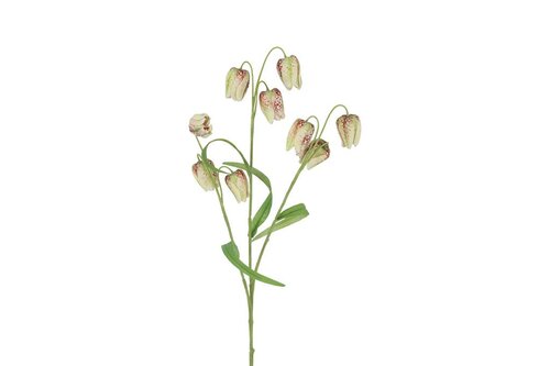 Decostar zijdebloem Fritillaria 70 cm mix